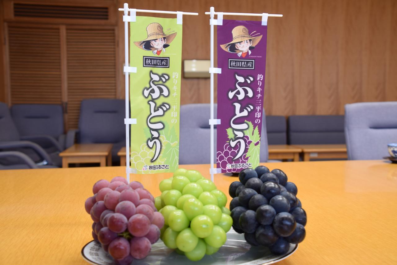 JA秋田ふるさとブドウ無格会　シャインマスカット収穫報告の様子